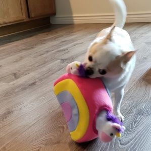 Meet your Posher, Amy